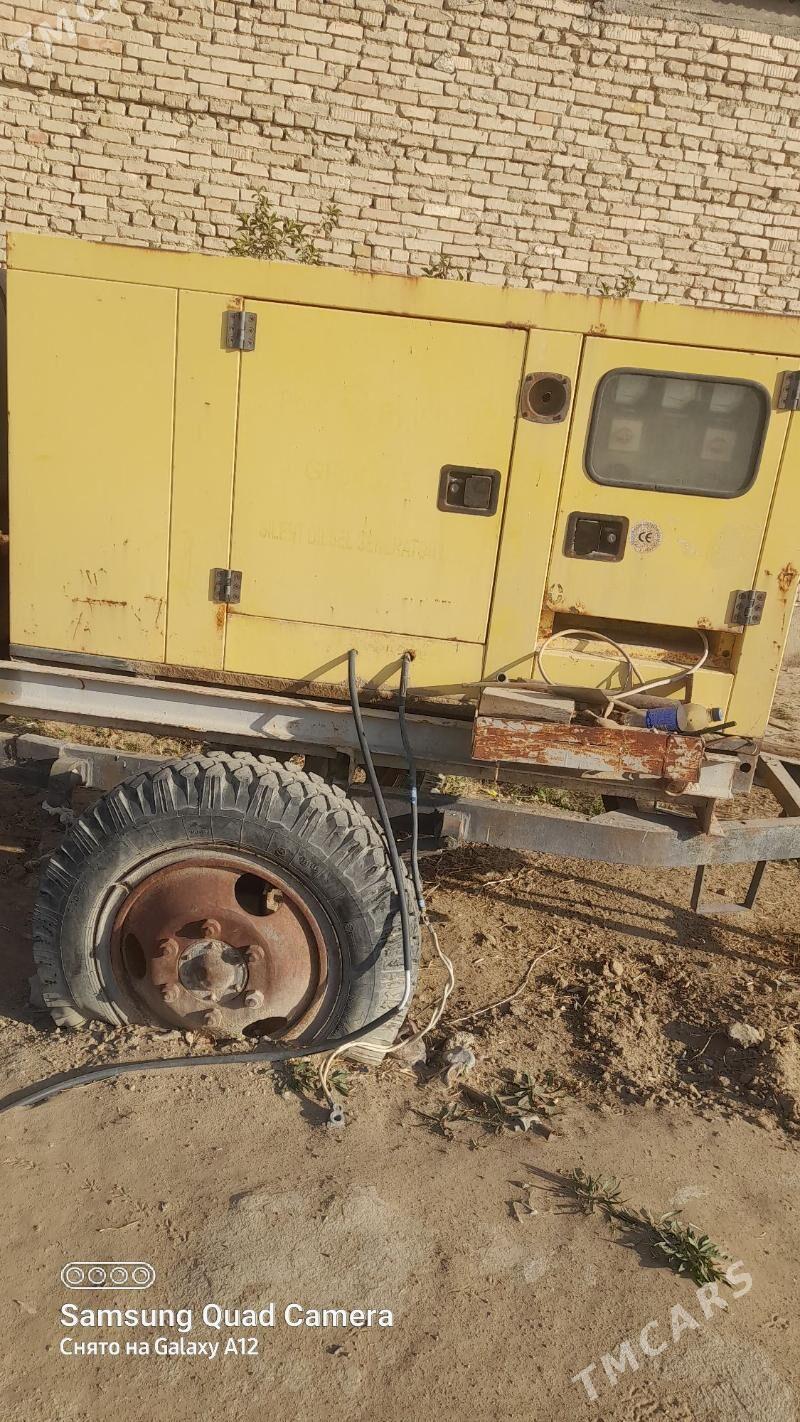 trasmatyr - Ak bugdaý etraby - img 5