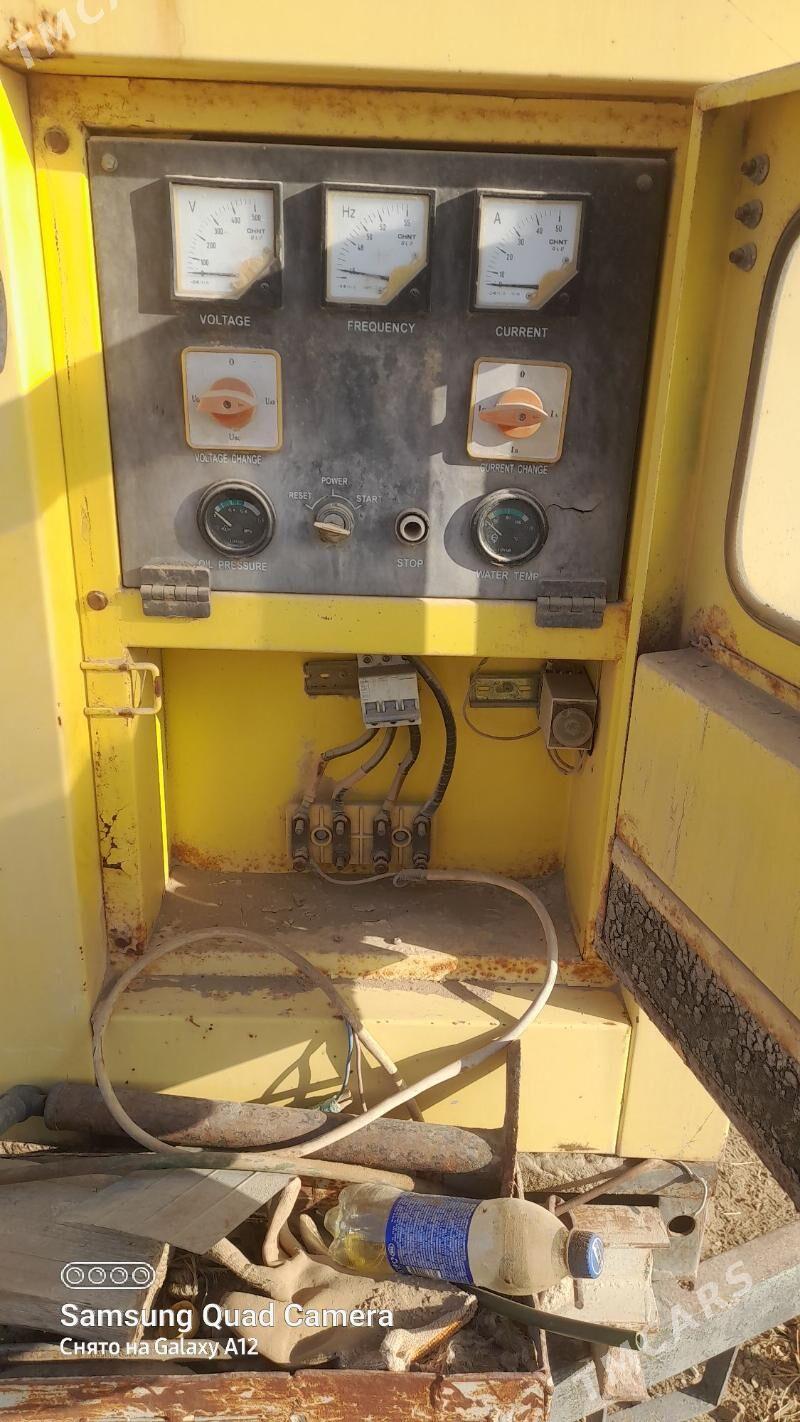 trasmatyr - Ak bugdaý etraby - img 4