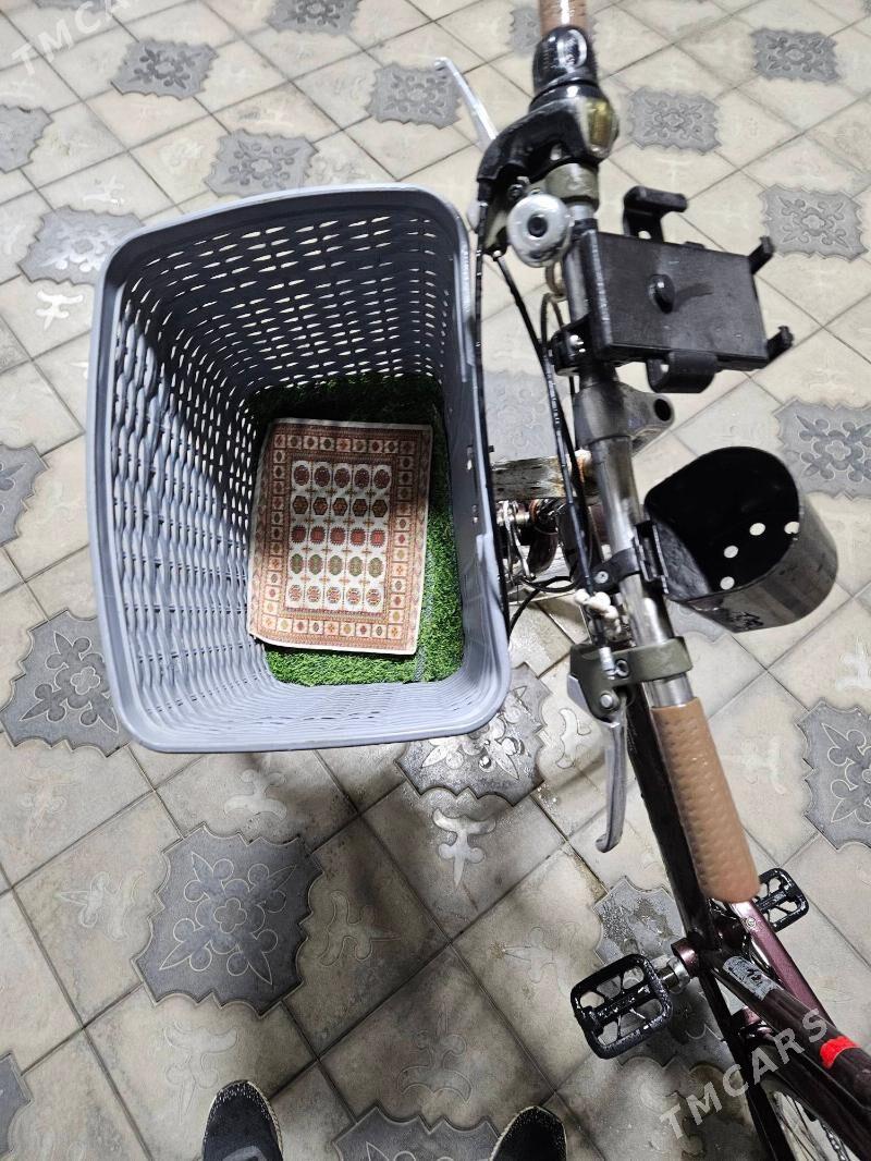 welsipet - Мары - img 2