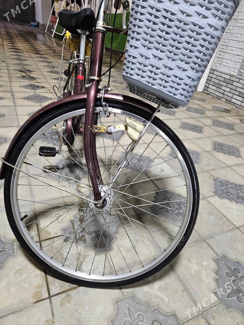 welsipet - Мары - img 4