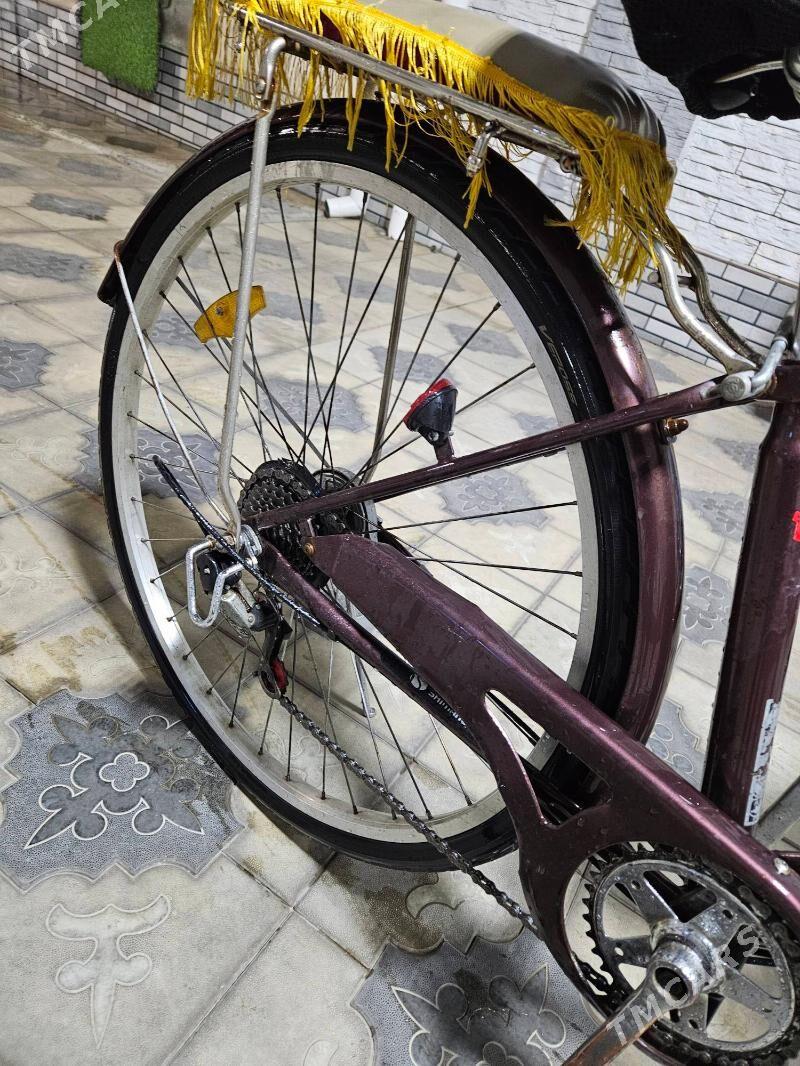 welsipet - Мары - img 3