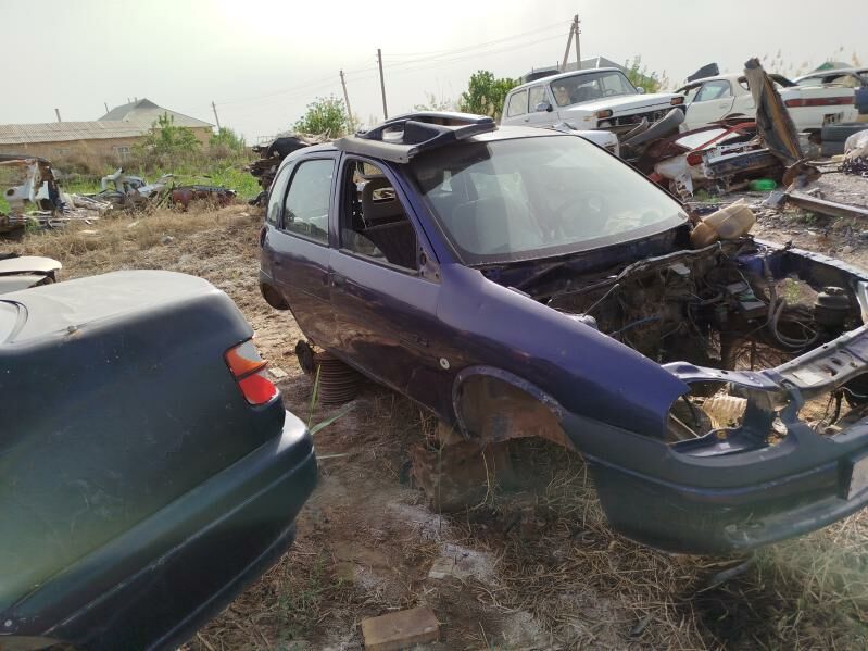 wita zapjaslyk 111 TMT - Бабадайхан - img 4