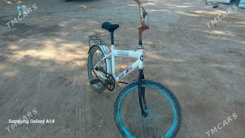 tigir welesepet - Болдумсаз - img 1