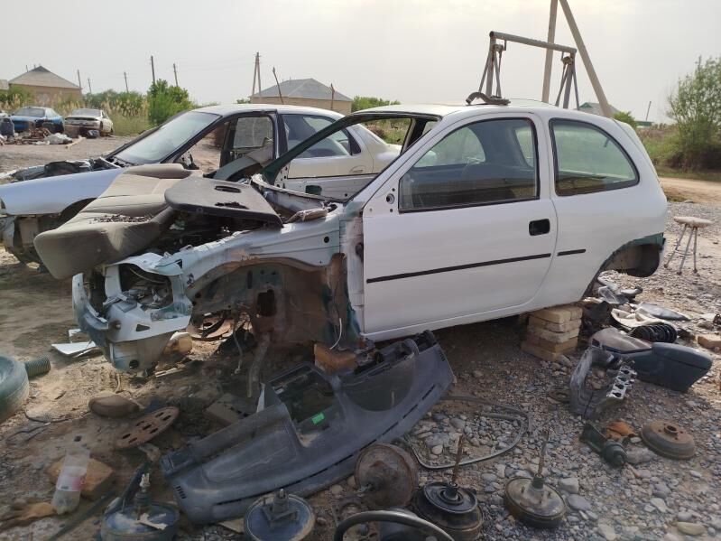 wita zapjaslyk 111 TMT - Бабадайхан - img 6