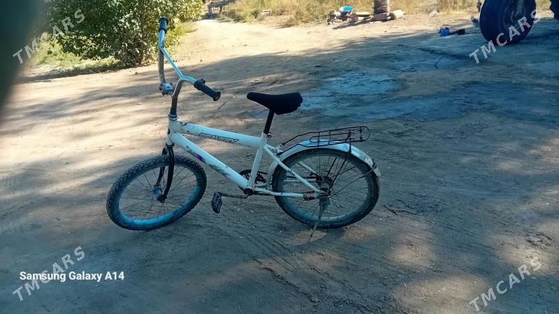 tigir welesepet - Болдумсаз - img 2