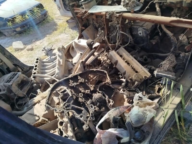 zapjaslyk kefire 111 TMT - Babadaýhan - img 5