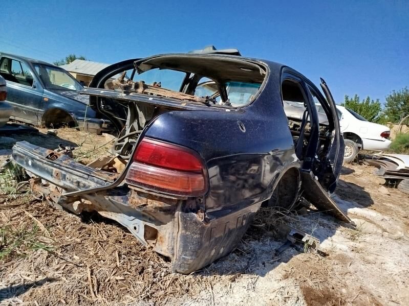 zapjaslyk kefire 111 TMT - Babadaýhan - img 6