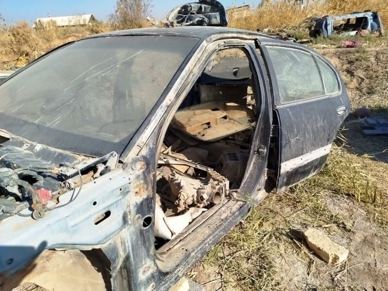 zapjaslyk kefire 111 TMT - Babadaýhan - img 2