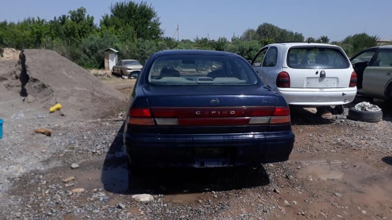 zapjaslyk kefire 111 TMT - Babadaýhan - img 7