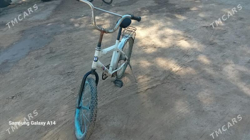 tigir welesepet - Болдумсаз - img 3