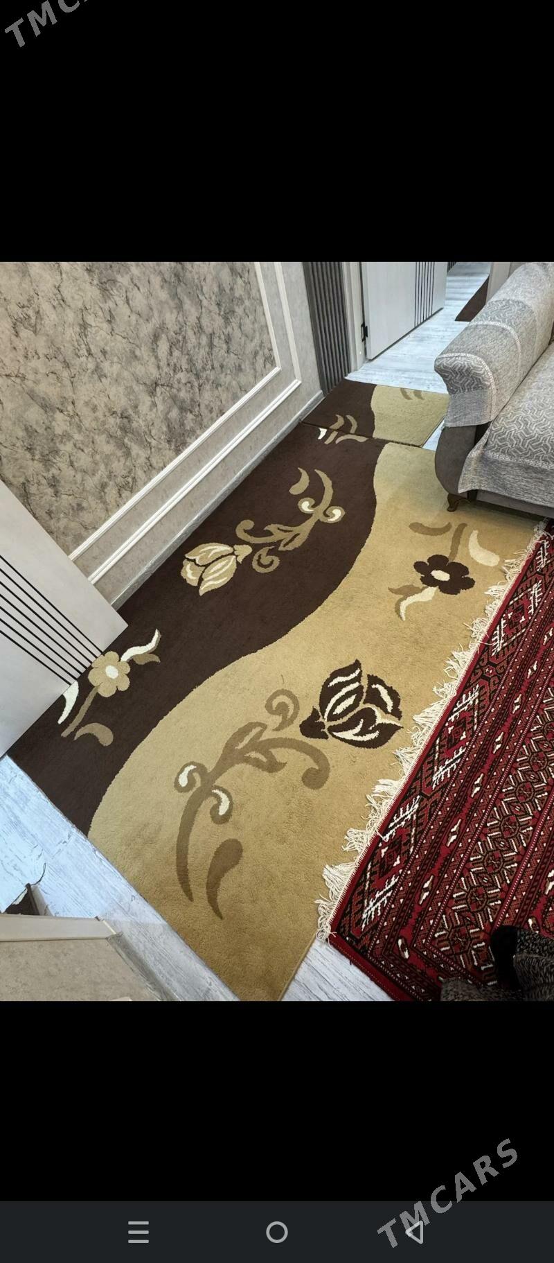 Haly - Daşoguz - img 5