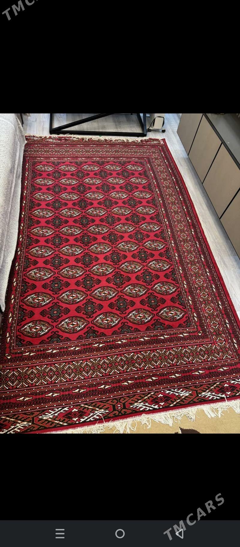 Haly - Daşoguz - img 6