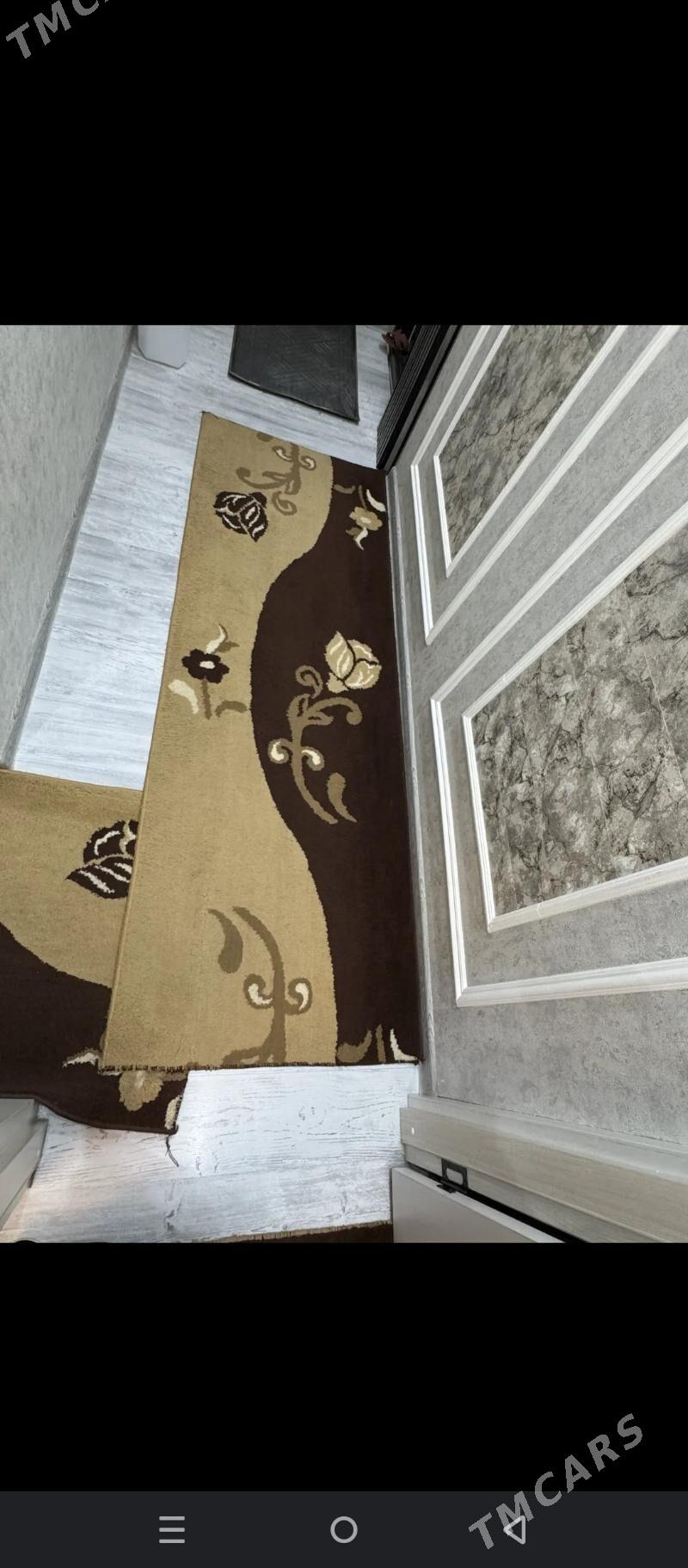 Haly - Daşoguz - img 4