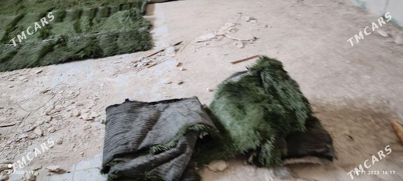 Ŷolka йолка - Карабогаз - img 4