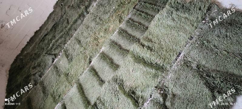 Ŷolka йолка - Карабогаз - img 2