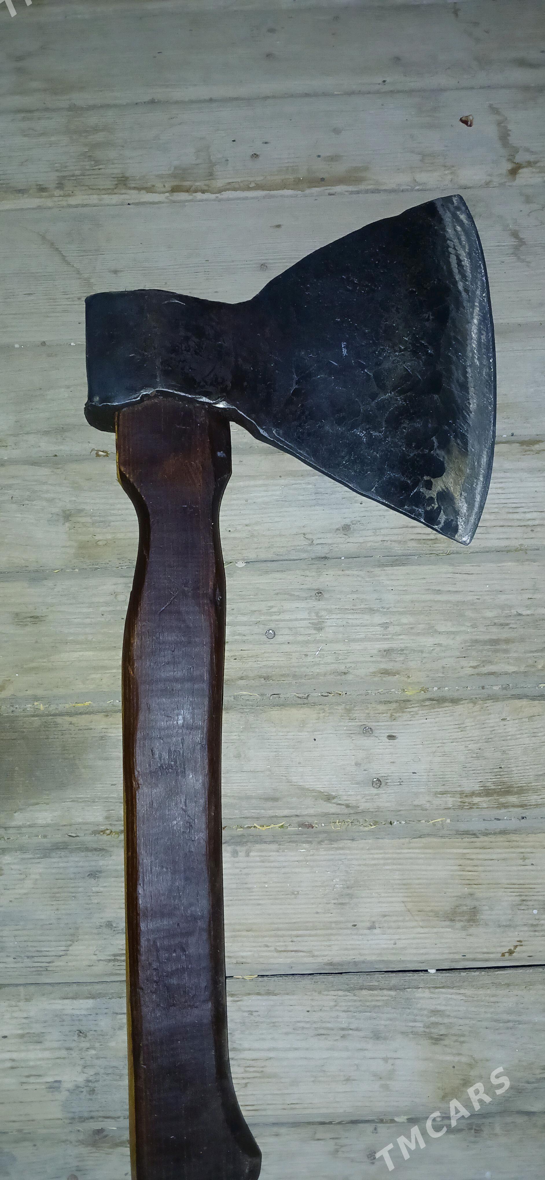 Palta - Mary - img 4