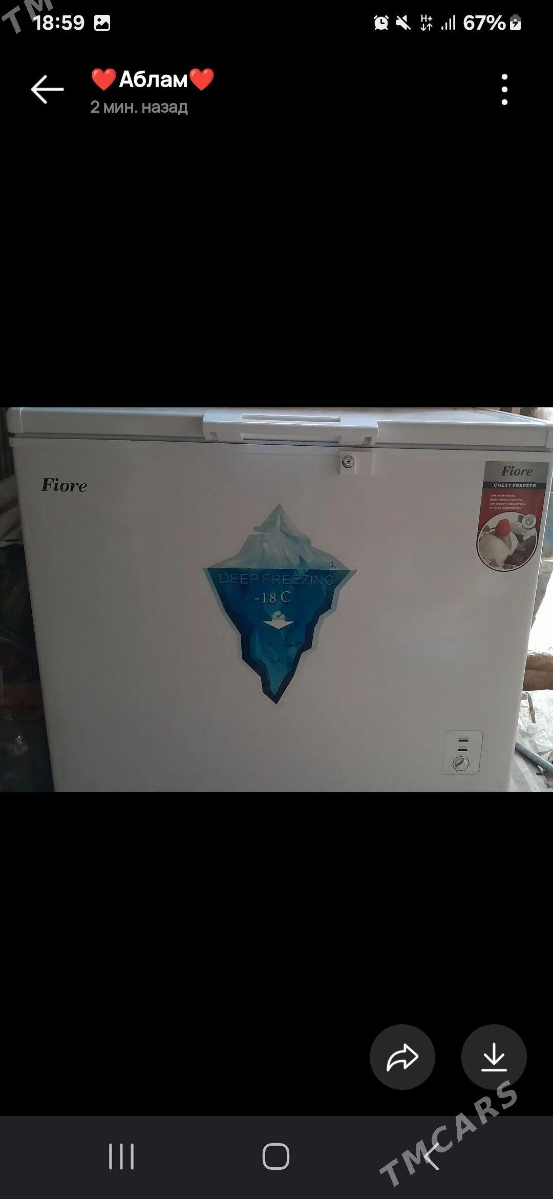 marazilnik - Daşoguz - img 3