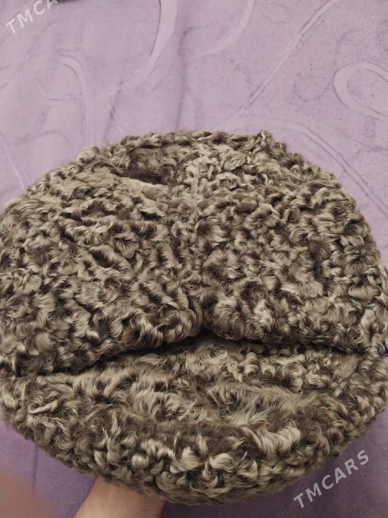 Telpek - Arçabil şaýoly - img 4