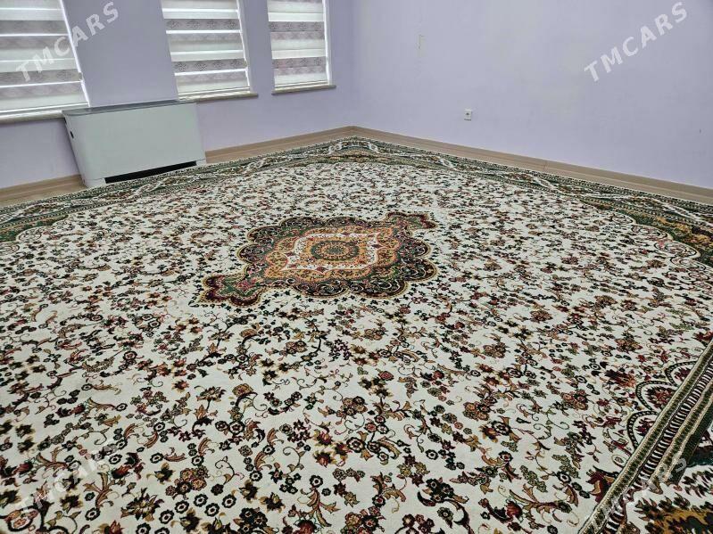 Haly - Аркадаг - img 1