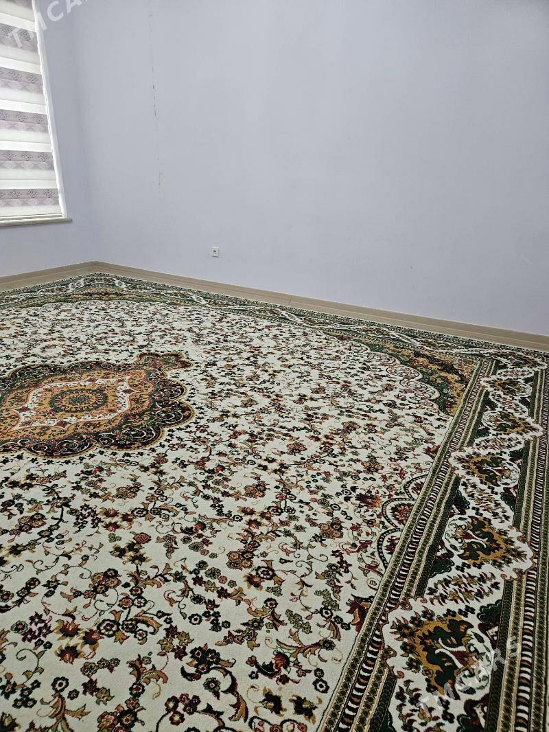 Haly - Аркадаг - img 2