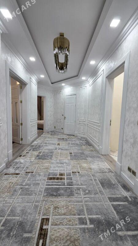 Šayoly Elitka 2kom - Ашхабад - img 4