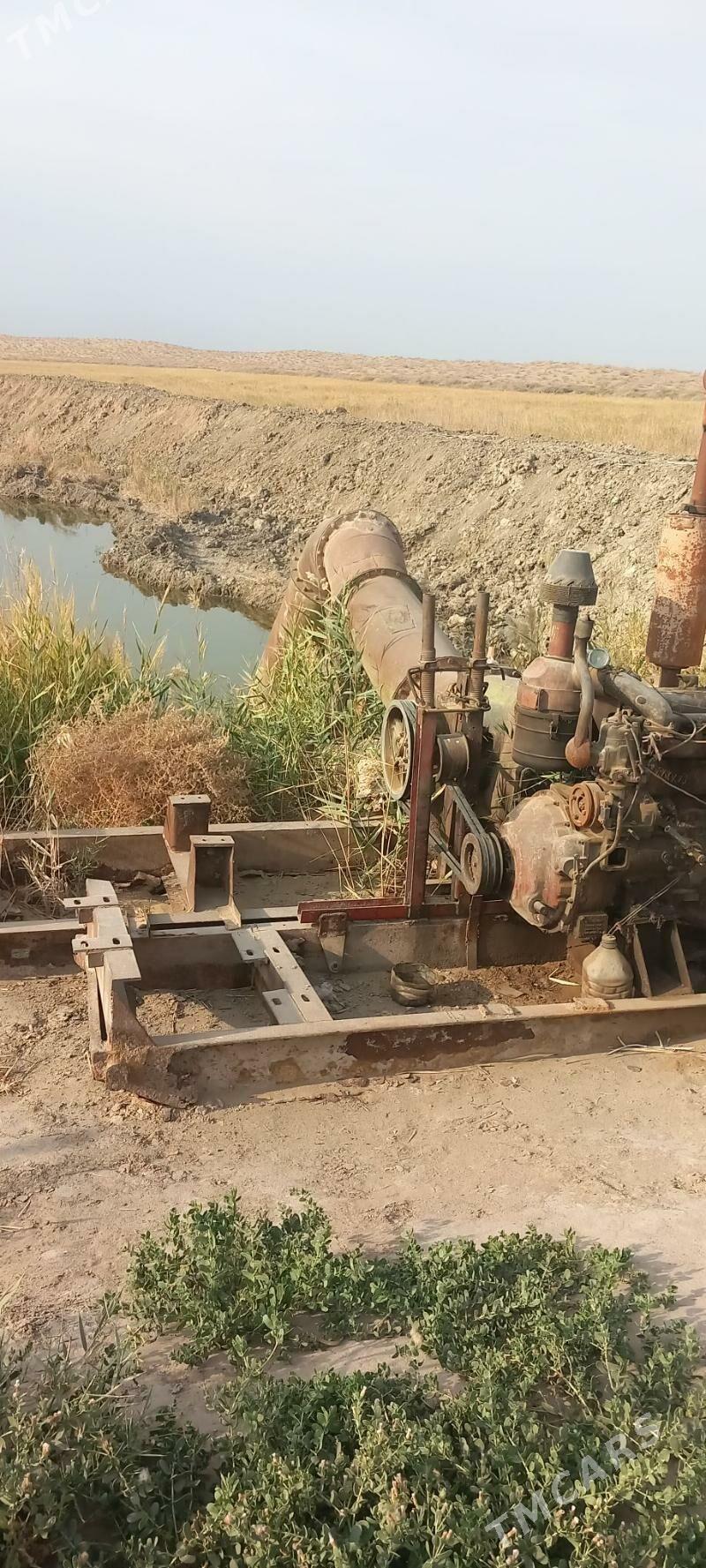 ALTAY NASOS - Aşgabat - img 2