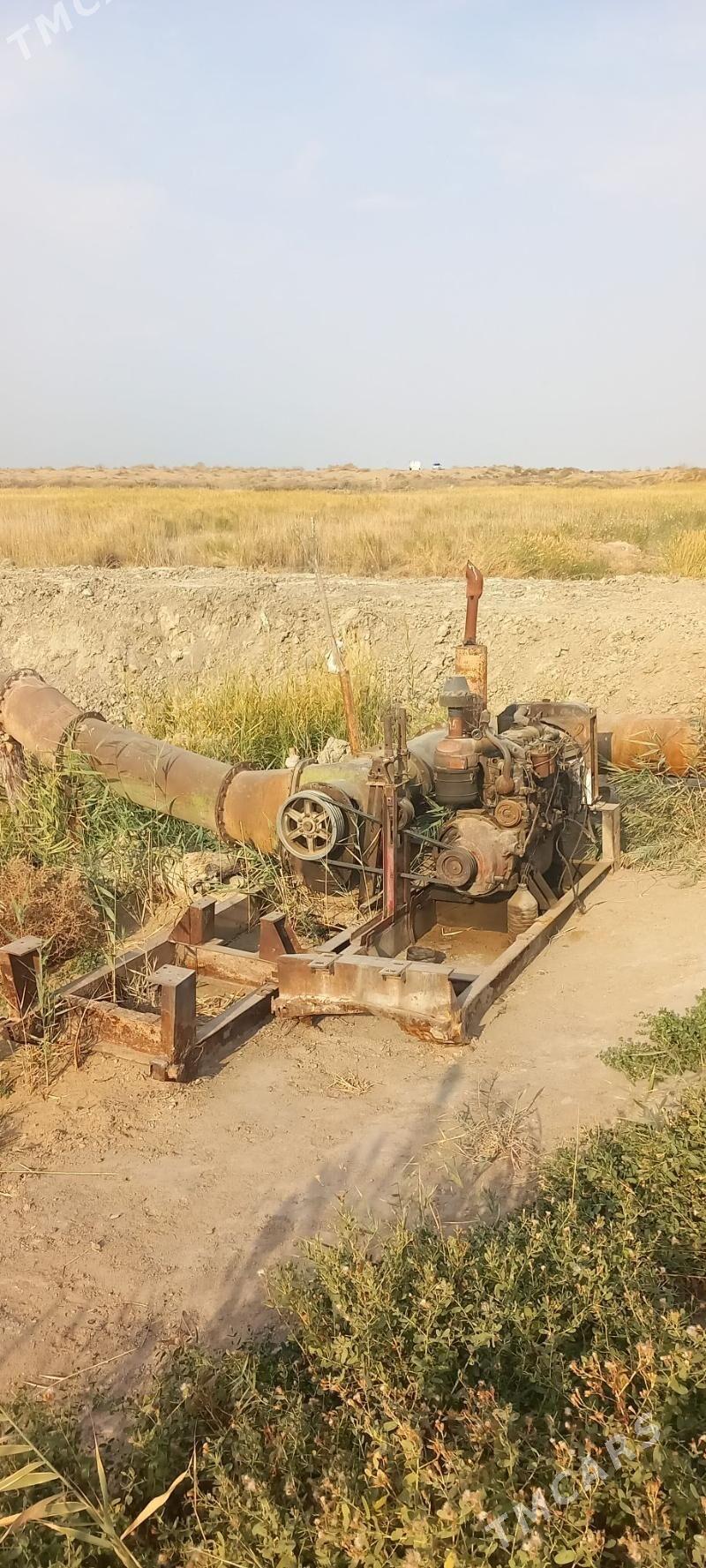 ALTAY NASOS - Aşgabat - img 4