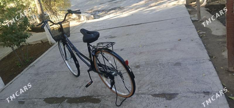 tigir - Gyzylarbat - img 3