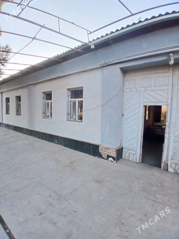 Satlyk howly - Туркменабат - img 2