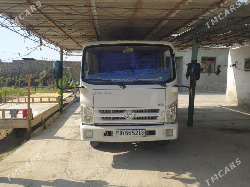 Forland H2 2015 - 240 000 TMT - Койтендаг - img 7