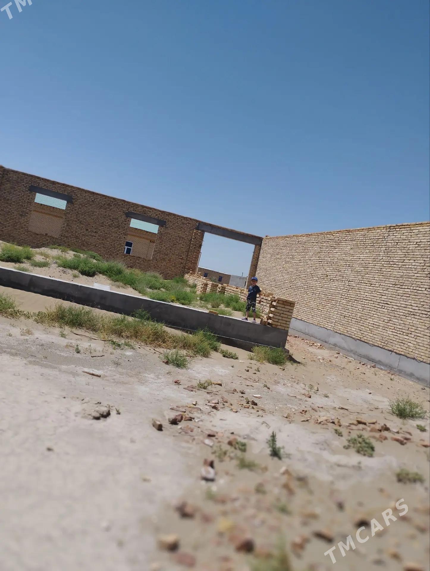 Меллек - Туркменабат - img 4