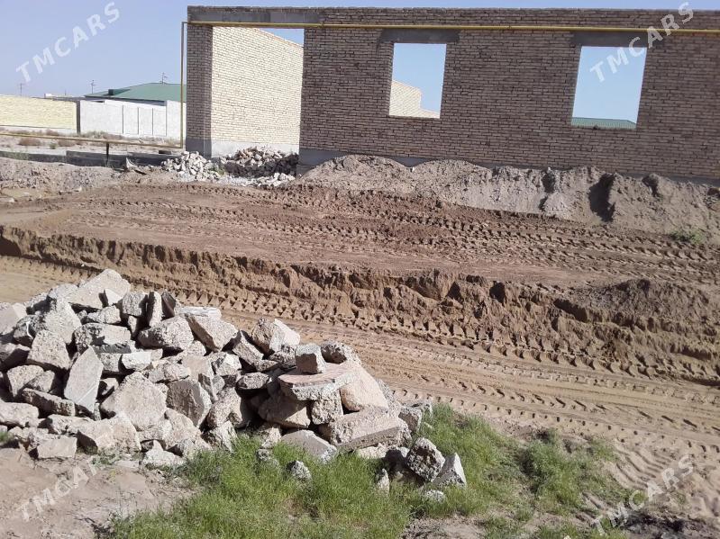 Меллек - Туркменабат - img 6