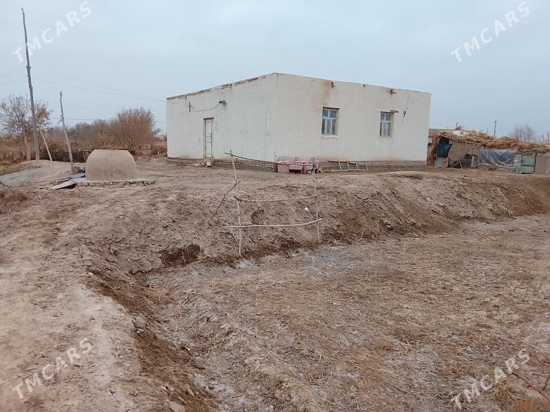 jay - Boldumsaz - img 5