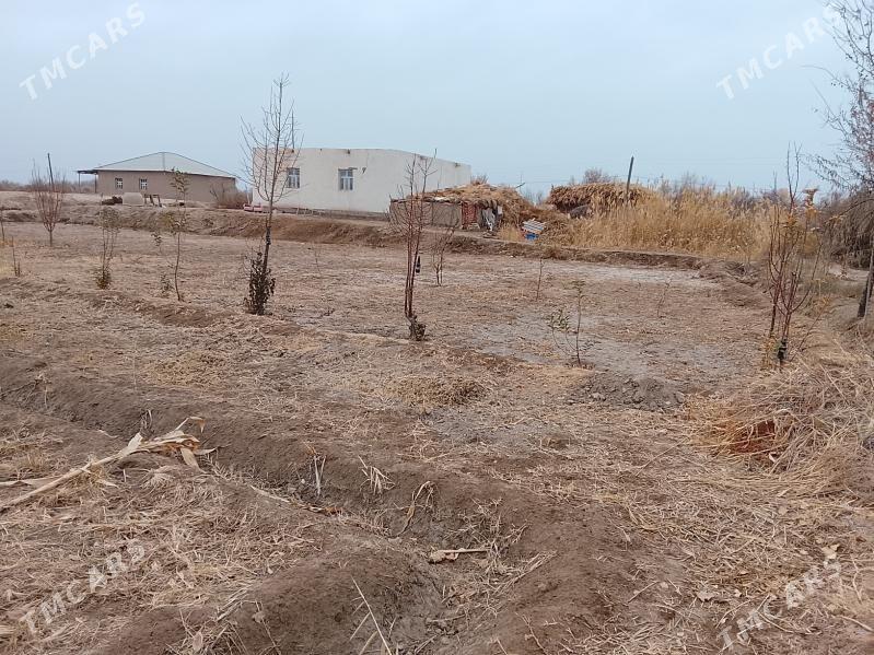 jay - Boldumsaz - img 3