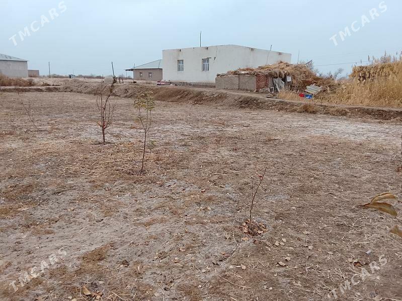 jay - Boldumsaz - img 2