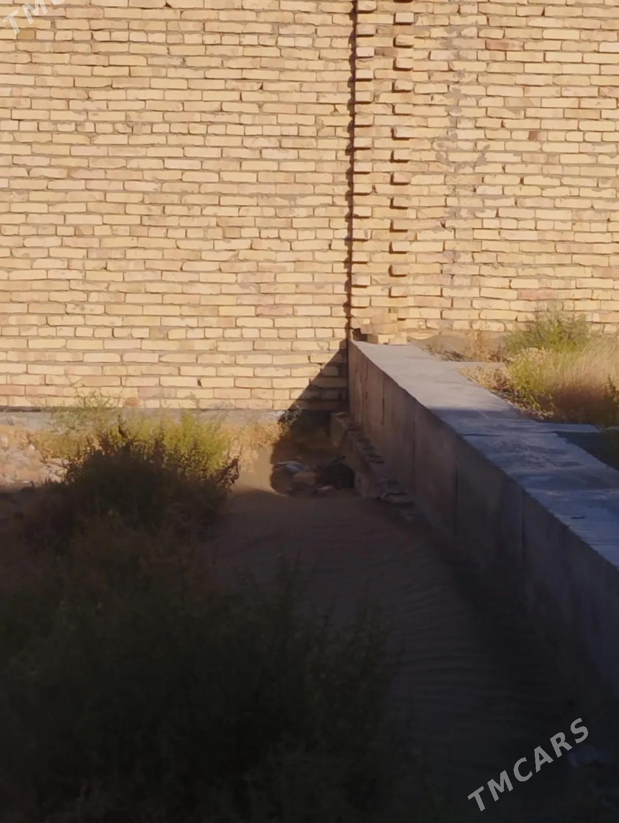 Меллек - Туркменабат - img 2