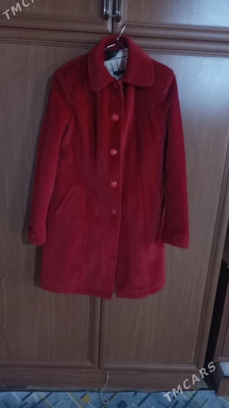 Palto talyp don - Daşoguz - img 2