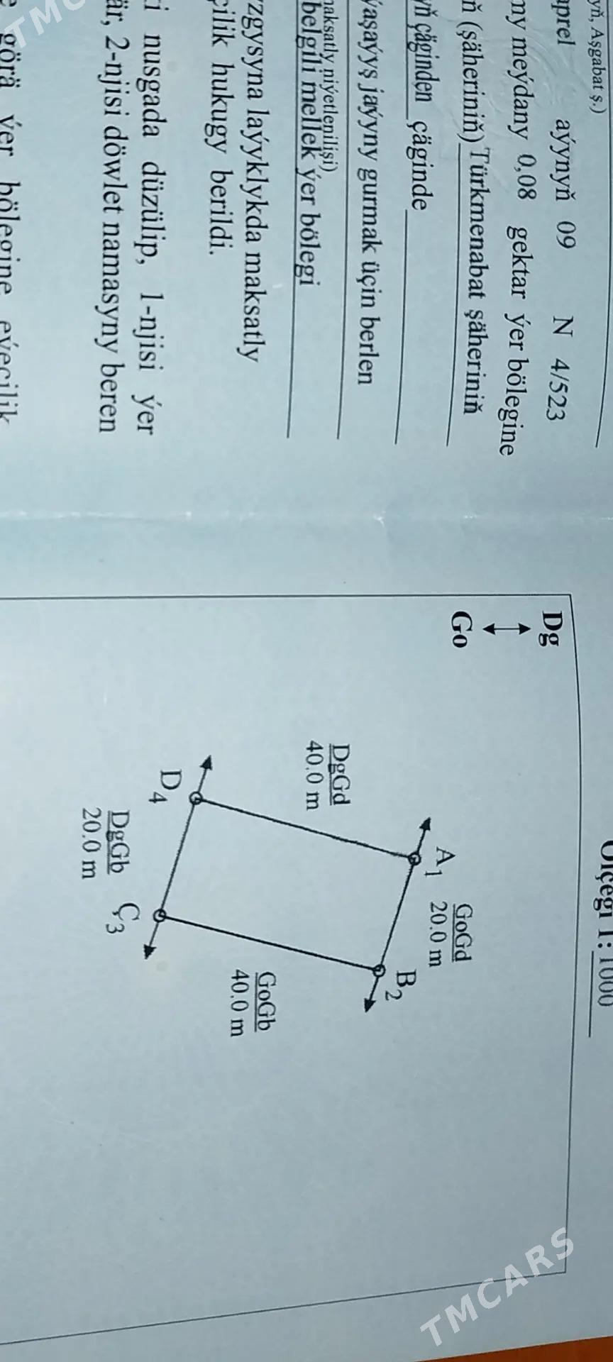 Меллек - Туркменабат - img 8
