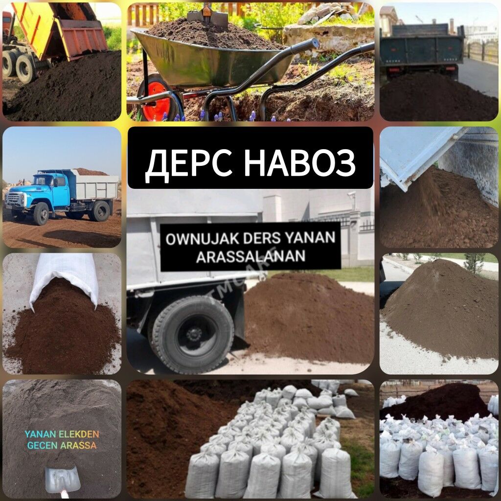 DERS MYTY ŞEBEN MITI GUM ÇAGE - Aşgabat - img 2