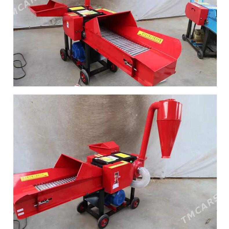 Ot uweyji Enjam - Aşgabat - img 3