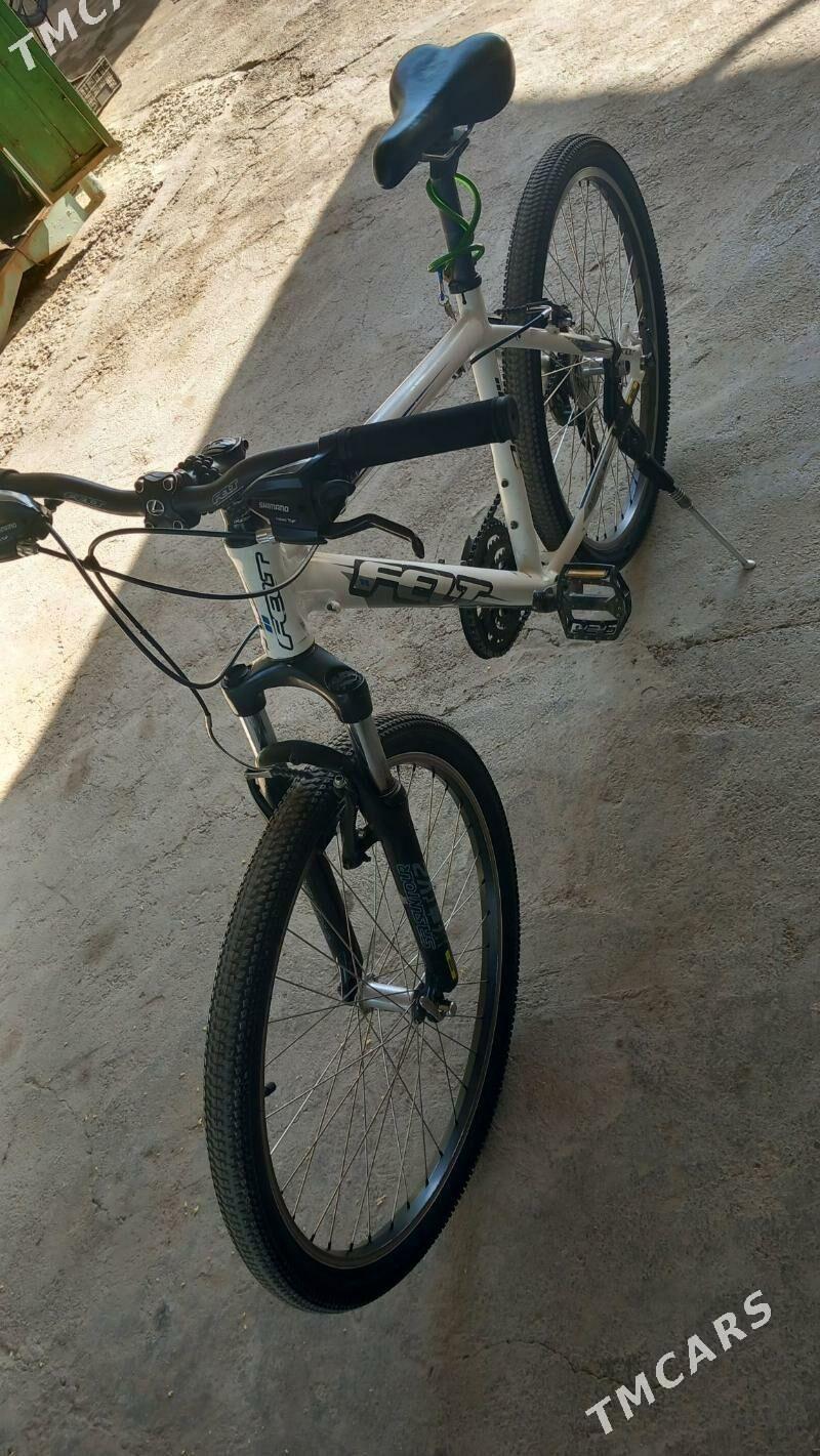 Tigir - Кëши - img 2