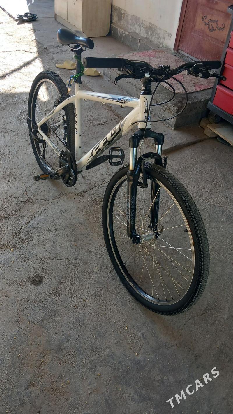 Tigir - Кëши - img 3