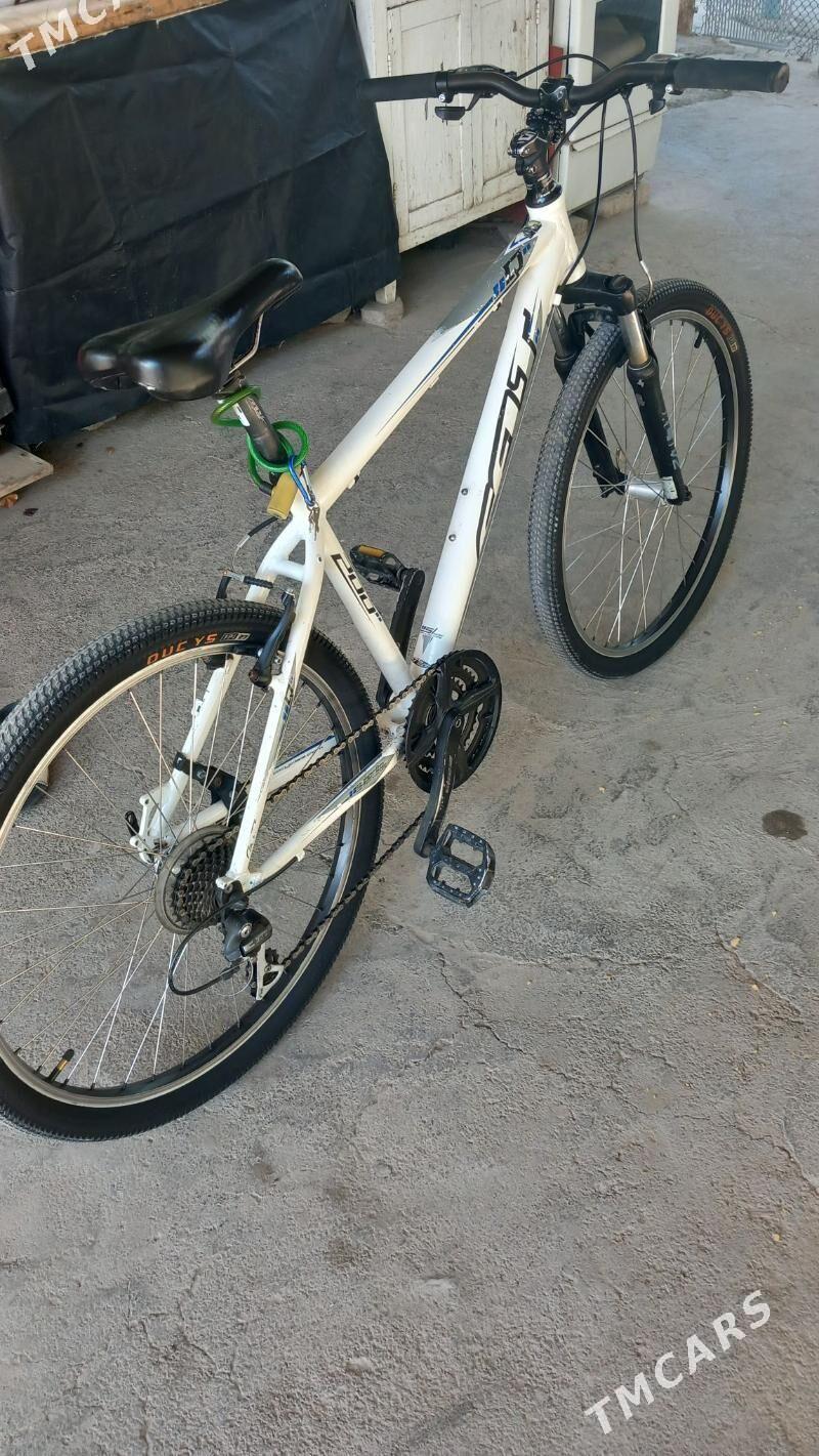 Tigir - Кëши - img 4