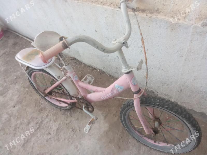 tigir - Чоганлы - img 1