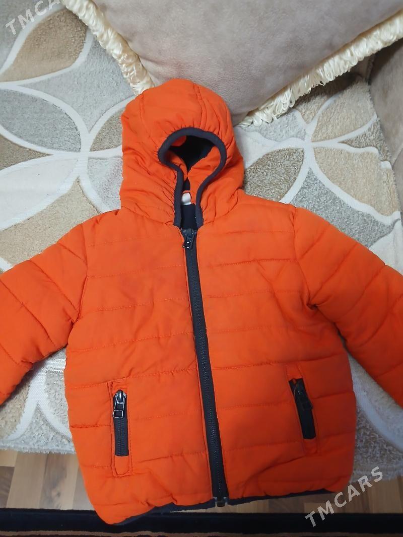 caga kurtgalar - Balkanabat - img 5