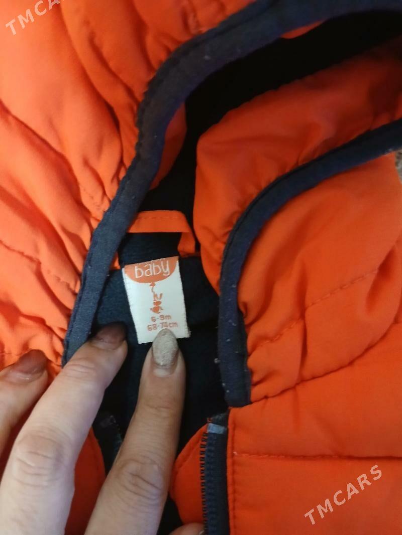 caga kurtgalar - Balkanabat - img 3