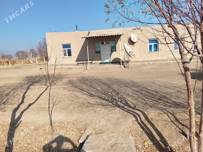 Satlyk jaýlar - Türkmenbaşy etr. - img 1