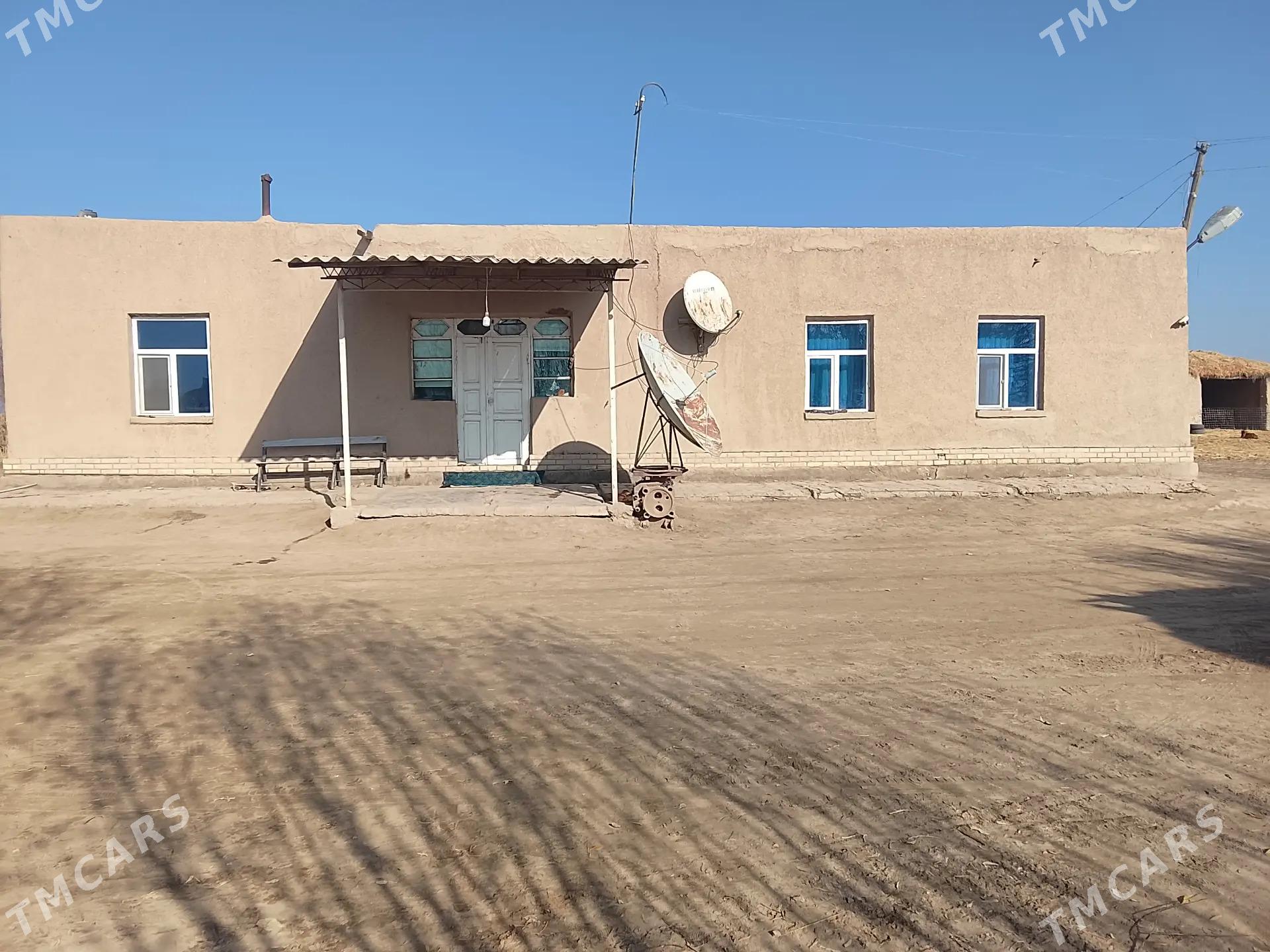 Satlyk jaýlar - Türkmenbaşy etr. - img 2