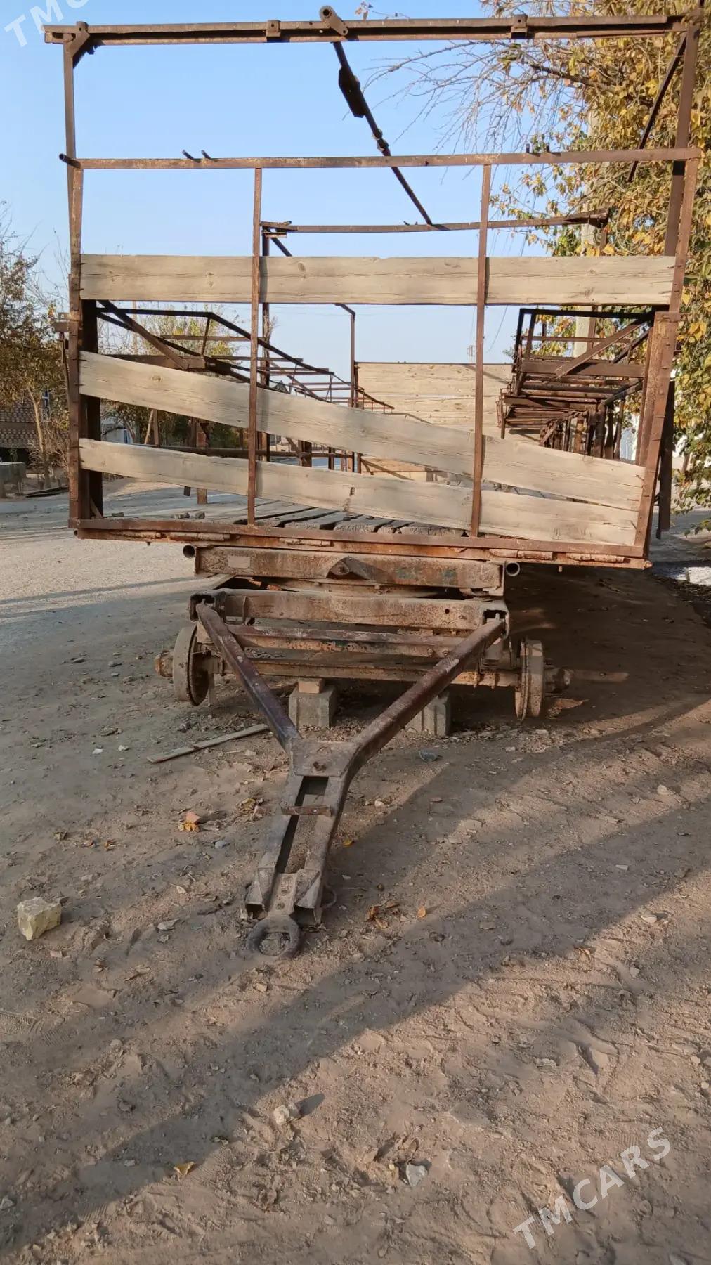 Bal Ary telesge prisep - Tejen - img 5