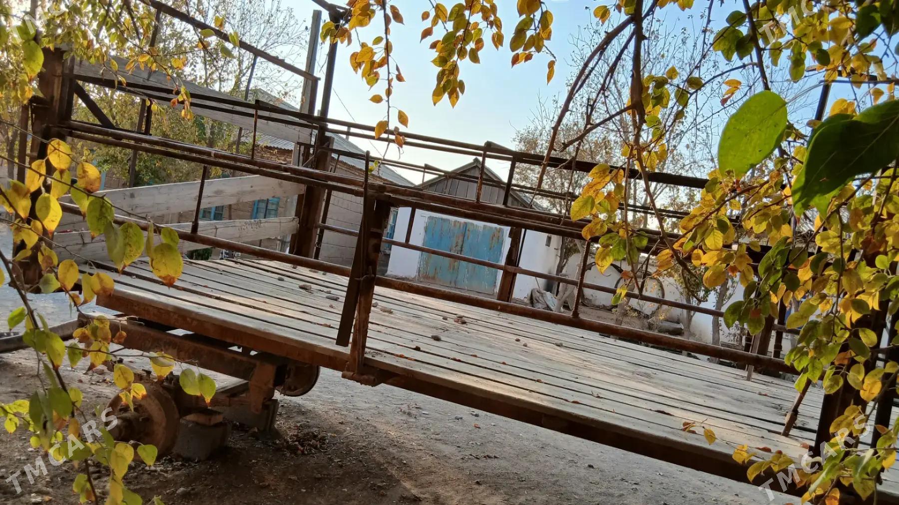 Bal Ary telesge prisep - Tejen - img 3